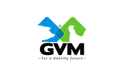 GVM Logo